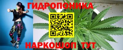 дмт Краснодар